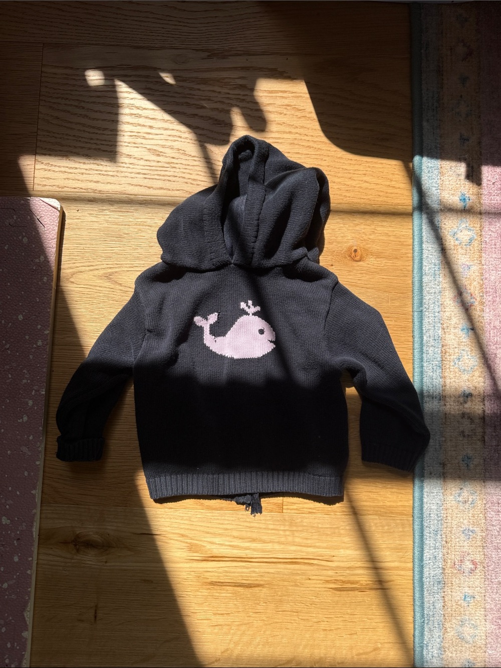 Carriage Boutique hooded sweater 2T